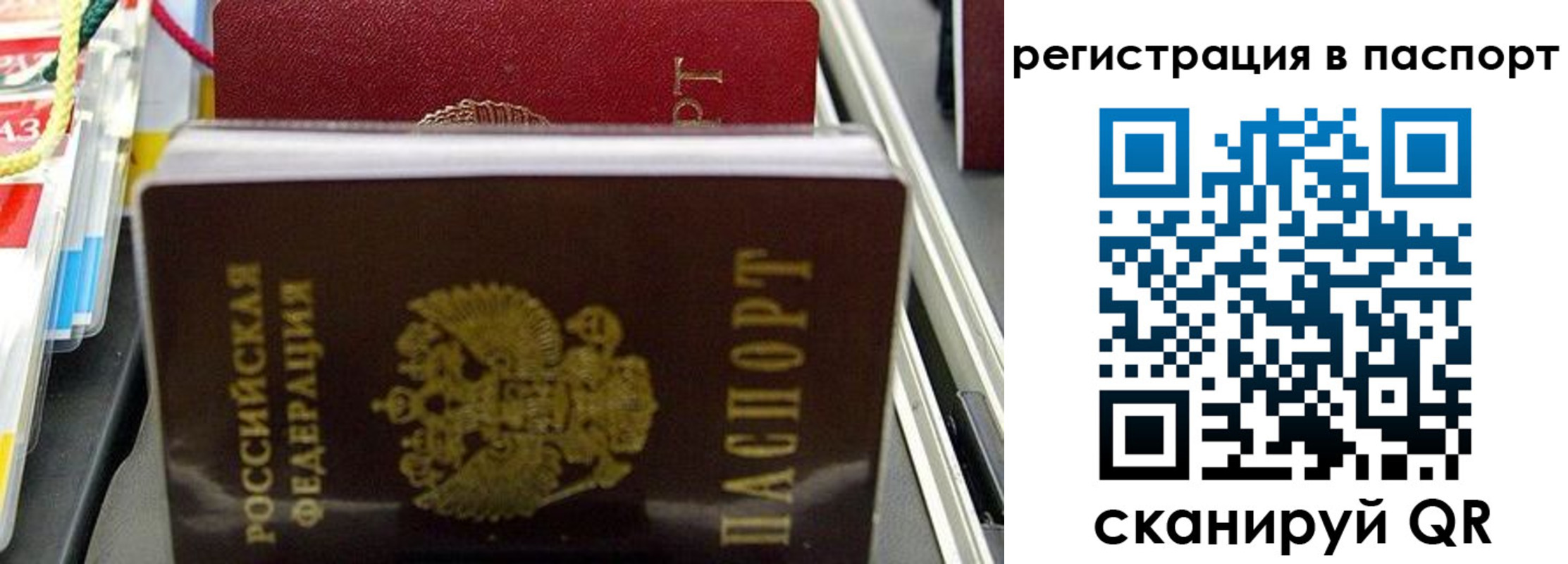 прописка для школы в Нововоронеже